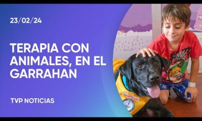 Los perros que ayudan a los niÃ±os del Garrahan en sus terapias