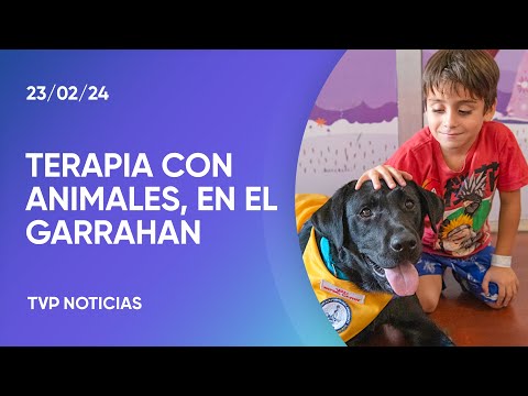 Los perros que ayudan a los niÃ±os del Garrahan en sus terapias