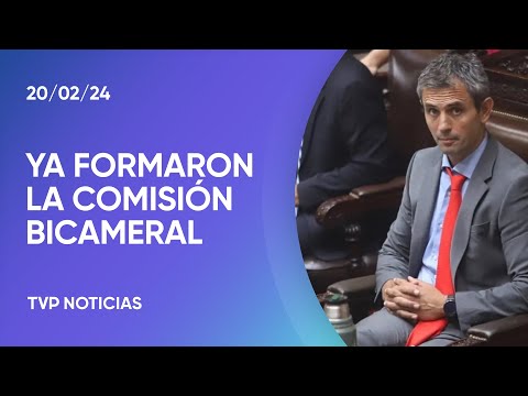MartÃn Menem designó a representantes de Diputados y quedó conformada la Bicameral de DNU MartÃn Menem designó a representantes de Diputados y quedó conformada la Bicameral de DNU