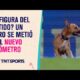 ¡No lo podían parar! Un perro se metió a la cancha en el el encuentro entre #SanLorenzo y #Union 🐶