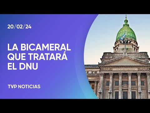 Se conformÃ³ la bicameral que tratarÃ¡ el DNU 70/2023