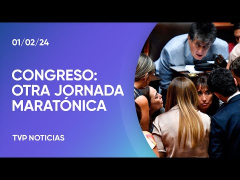 Segundo dÃa de debate en Diputados: facultades delegadas y privatizaciones, en la mira Segundo dÃa de debate en Diputados: facultades delegadas y privatizaciones, en la mira