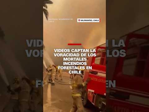 Videos captan la voracidad de los mortales incendios forestales en Chile Videos captan la voracidad de los mortales incendios forestales en Chile
