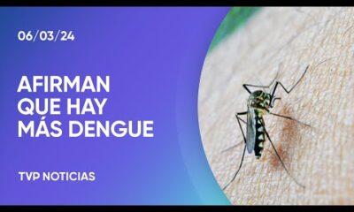 Afirman que este aÃ±o el brote de dengue es superior a 2023