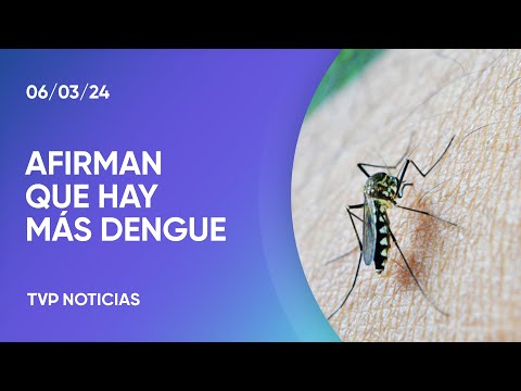 Afirman que este aÃ±o el brote de dengue es superior a 2023