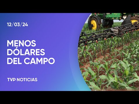 Cosecha: esperan menos dólares por baja de precios Cosecha: esperan menos dólares por baja de precios