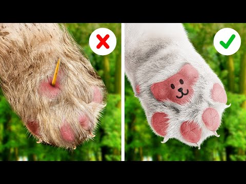 Crianza Inteligente de Mascotas: Trucos, Consejos y Manualidades DIY para Dueños de Mascotas 🐾✨ Crianza Inteligente de Mascotas: Trucos, Consejos y Manualidades DIY para Dueños de Mascotas 🐾✨