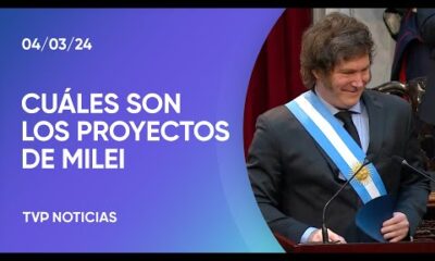 CuÃ¡les son los proyectos de ley que Milei enviarÃ¡ al Congreso