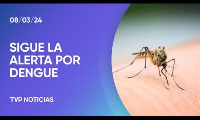 Dengue: crece la alerta por el aumento de casos