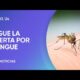 Dengue: crece la alerta por el aumento de casos