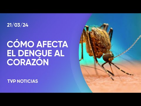 DespuÃ©s del dengue: el seguimiento de los pacientes, un tema clave