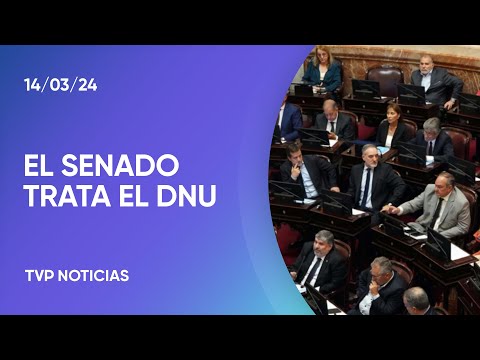 El Senado tratarÃ¡ el DNU 70/2023 en sesiÃ³n especial