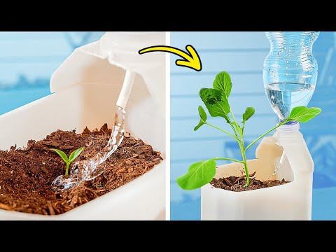 Epic Gardening 🌱 🌸 Trucos Fáciles de Cosecha y Ideas para Cultivar en la Nueva Temporada Epic Gardening 🌱 🌸 Trucos Fáciles de Cosecha y Ideas para Cultivar en la Nueva Temporada