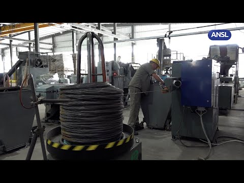 Federico Prandi, Director industrial de empresa Servet