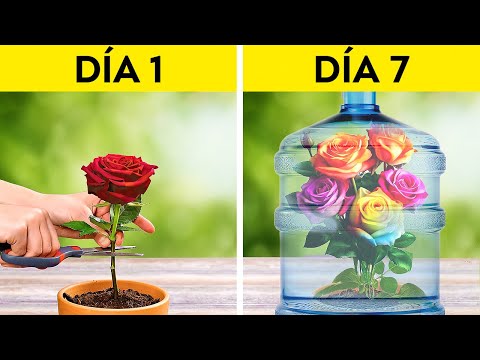 Flores y Otras Plantas 🌷🌹 🌱Grandes Ideas para Preparar tu Jardín para la Primavera