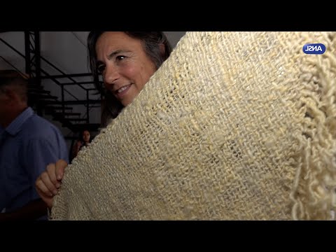 Gisela Montes, Emprendedora