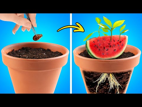 Jardinería de Sandía 🍉🍉 y Satisfactorios Trucos de Corte y Pelado