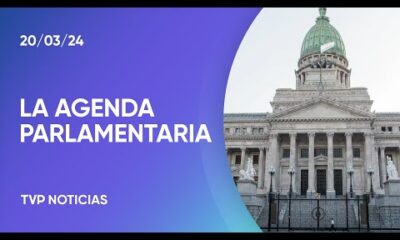 Ley Bases, DNU y movilidad jubilatoria, en la agenda parlamentaria