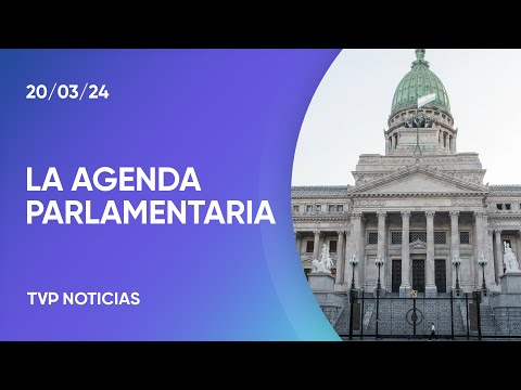 Ley Bases, DNU y movilidad jubilatoria, en la agenda parlamentaria