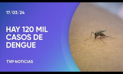 Los casos de dengue llegan a 120 mil y ya son 79 personas muertas: Â¿CÃ³mo funciona la vacuna