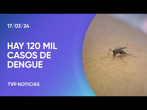 Los casos de dengue llegan a 120 mil y ya son 79 personas muertas: Â¿CÃ³mo funciona la vacuna