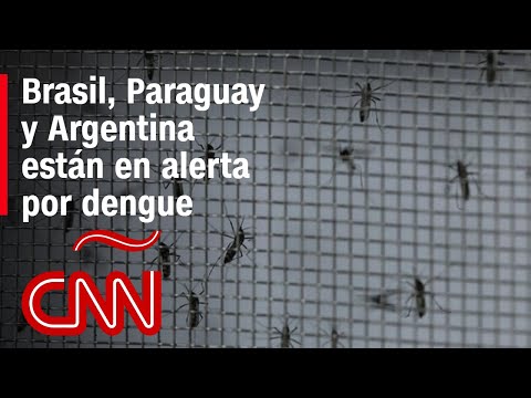 OPS, en alerta por aumentos de casos de dengue en la región OPS, en alerta por aumentos de casos de dengue en la región