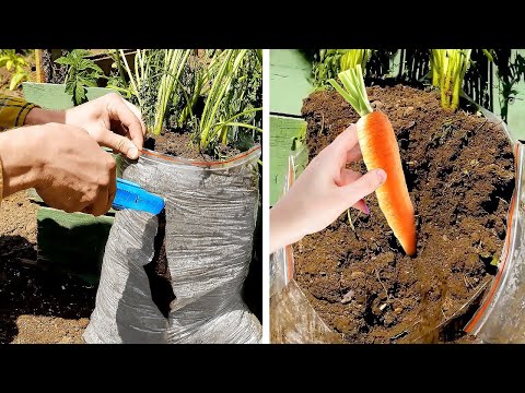 Placer en el Patio: Transforma tu Espacio con Ideas de Decoración de Jardín DIY | Ideas En 5 Minutos