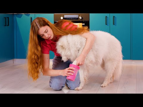 ¡Puaj! ¡Lava tus patas! 🐾 #Corto