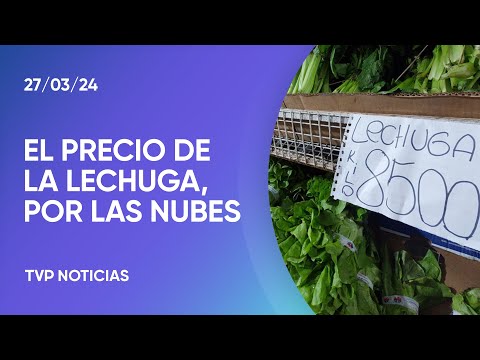 Se disparÃ³ el precio de la lechuga