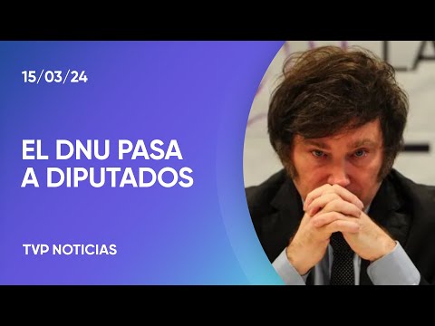 Tras el rechazo en el Senado, el DNU pasa a Diputados