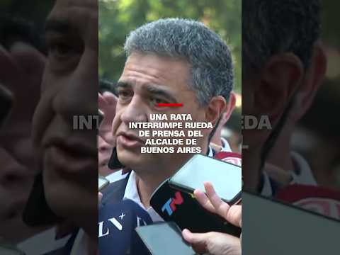 Una rata interrumpe conferencia de prensa del alcalde de Buenos Aires