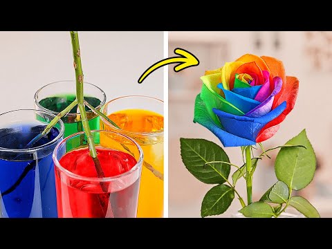 Vida en Color Completo: Nuevas Ideas para Colorear y Fáciles Trucos de Arte para Principiantes 🌈✨ Vida en Color Completo: Nuevas Ideas para Colorear y Fáciles Trucos de Arte para Principiantes 🌈✨