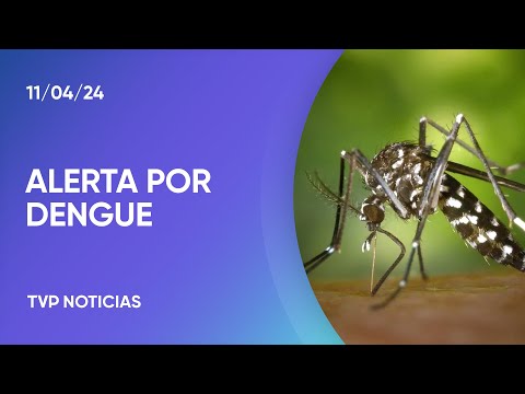 Alerta dengue: repelentes y medidas urgentes