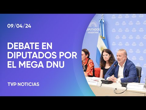Analizan la constitucionalidad del DNU de Milei