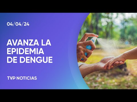 Avanza la epidemia de dengue y conseguir repelente es una misión imposible Avanza la epidemia de dengue y conseguir repelente es una misión imposible