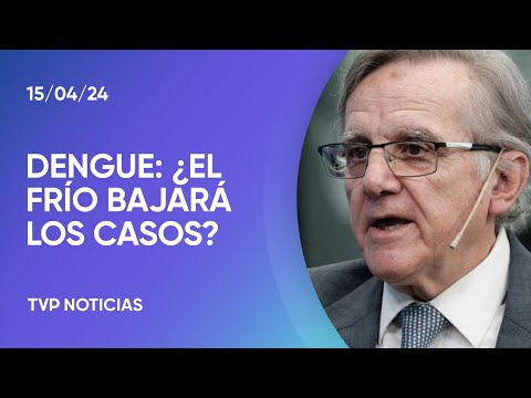 Brote histórico de dengue: cómo continúa la situación