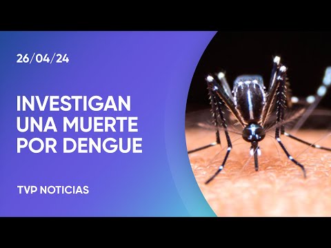 Confirmaron la primera muerte por coinfección de dengue en Argentina