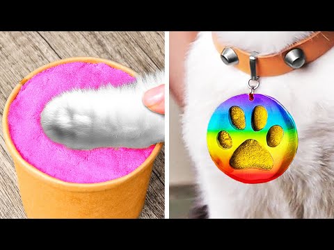 Cuidado de Mascotas Simplificado: Trucos Geniales para Mascotas Felices 🐕🐈✨ Cuidado de Mascotas Simplificado: Trucos Geniales para Mascotas Felices 🐕🐈✨