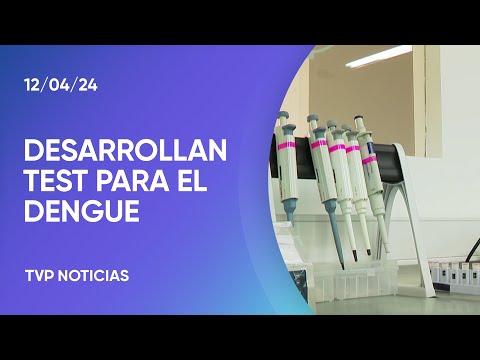 Desarrollan un test exprés para detectar el dengue Desarrollan un test exprés para detectar el dengue