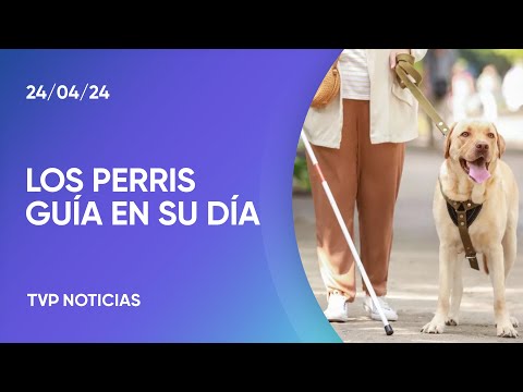 Día Mundial del Perro Guía Día Mundial del Perro Guía