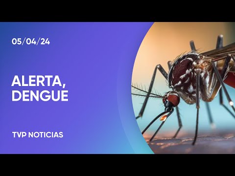 Florencia Cahn: “Este brote de dengue es un desafÃo” Florencia Cahn: “Este brote de dengue es un desafÃo”