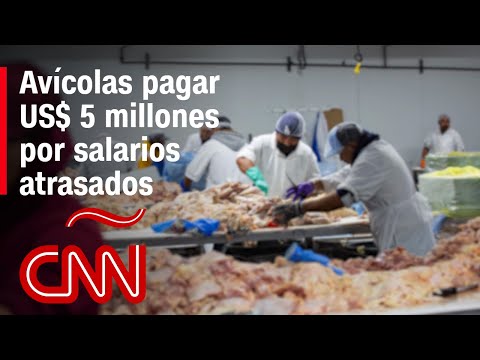 Avícolas de California deberán pagar US$ 5 millones por salarios atrasados a trabajadores