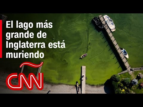 El lago más grande de Inglaterra está en peligro El lago más grande de Inglaterra está en peligro