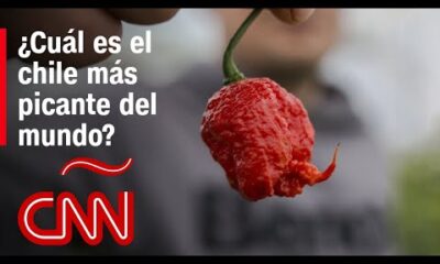 Estos son los 3 chiles más picantes del mundo