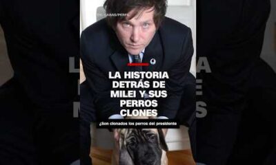 La historia detrás de Milei y sus perros clones