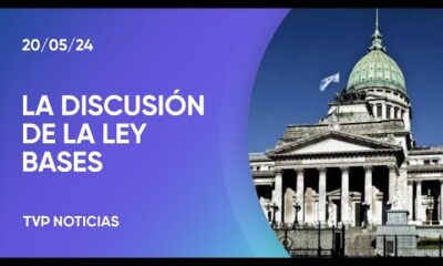 Ley bases: el Senado mañana retoma el debate