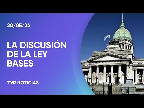 Ley bases: el Senado mañana retoma el debate
