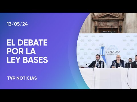 Ley Bases: el Senado recibió más expositores