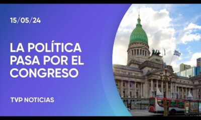 Ley Bases: el Senado retomará mañana el debate