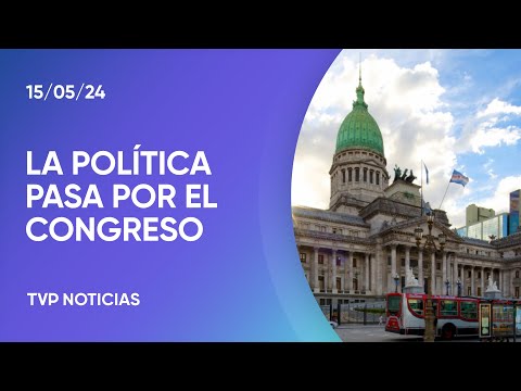 Ley Bases: el Senado retomará mañana el debate Ley Bases: el Senado retomará mañana el debate